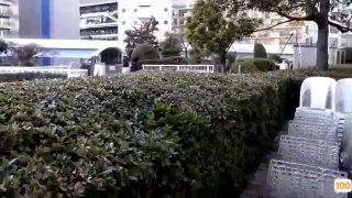 苍井空a片免费一区精品-免费在线观看-日韩中文字幕